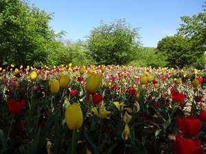 s-DSC04169