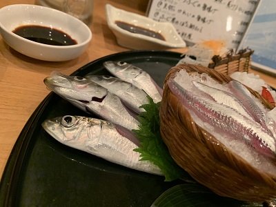 神戸　磯魚料理　いわし屋　お造り