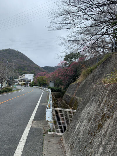 増位山 白国 春の兆し