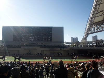 2011　阪神競馬場　有馬記念　パドック