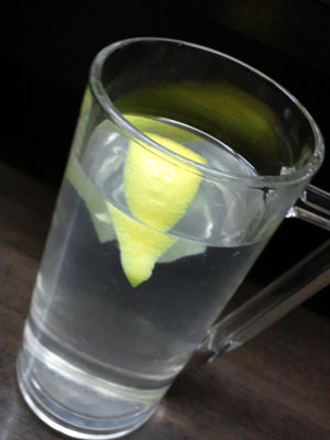 垂水 駅前 居酒屋 串かつ おかちゃん レモン 焼酎