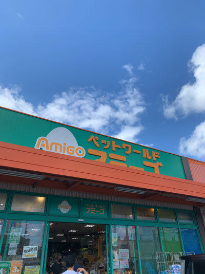 姫路 猫Cafe「Salon de Kei」 : 安いネタ！旨いネタ！隠れ家ブログ「立 