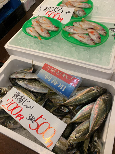 鳥取県 蟹パーク 赤いか