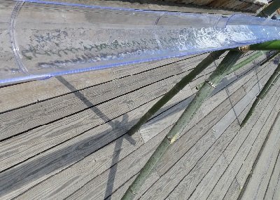 そうめん流し