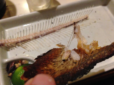 淡路 由良の魚