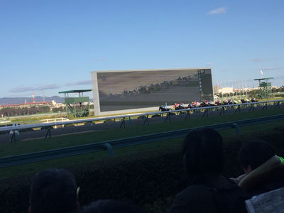 阪神競馬場　レース