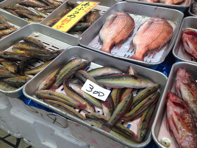 明石 魚の棚 青ベラ他 安いネタ 旨いネタ 隠れ家ブログ 立呑み ま