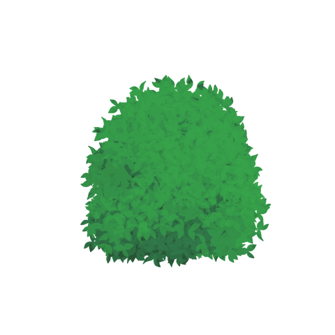 草の塊カラー(葉が丸め)009