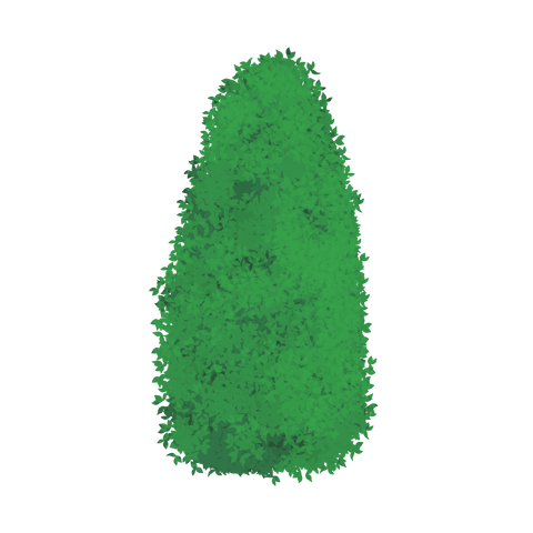 草の塊カラー(葉が丸め)026