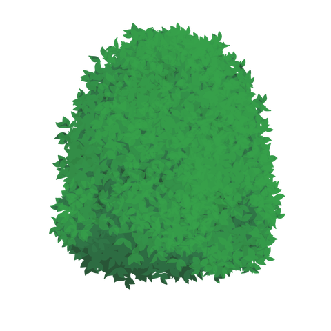 草の塊カラー(葉が丸め)010