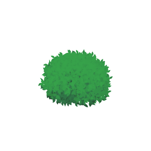 草の塊カラー(葉が丸め)006