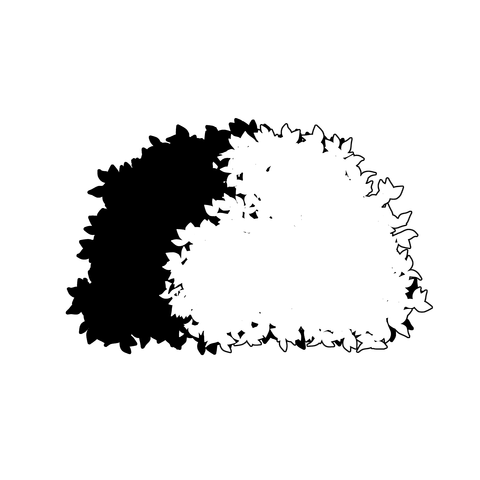 草の塊（葉が丸め）002