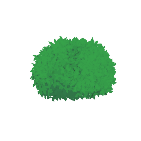 草の塊カラー(葉が丸め)007