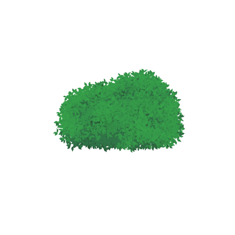 草の塊カラー(葉が丸め)038