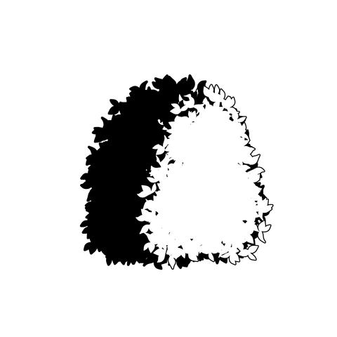 草の塊（葉が丸め）009