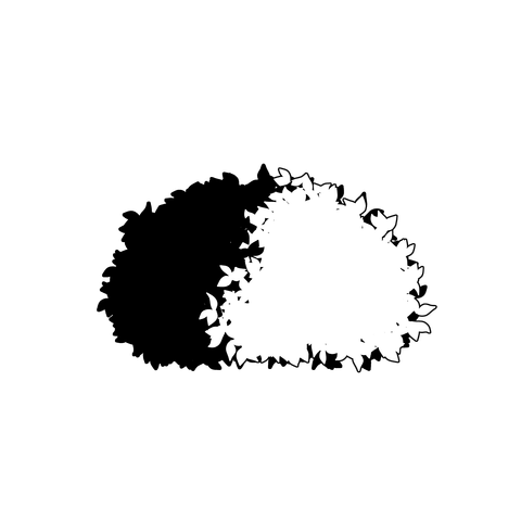 草の塊（葉が丸め）001