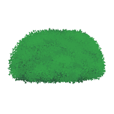 草の塊カラー(葉が丸め)023