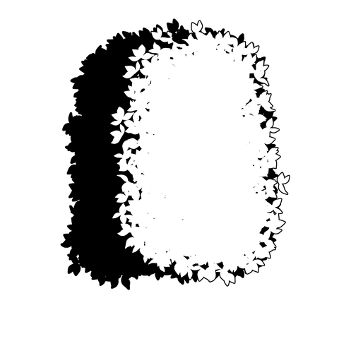 草の塊（葉が丸め）011