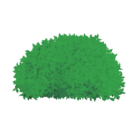 草の塊カラー(葉が丸め)003