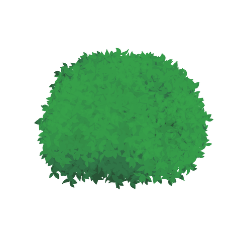 草の塊カラー(葉が丸め)008