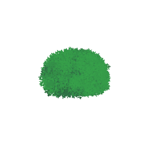 草の塊カラー(葉が丸め)020