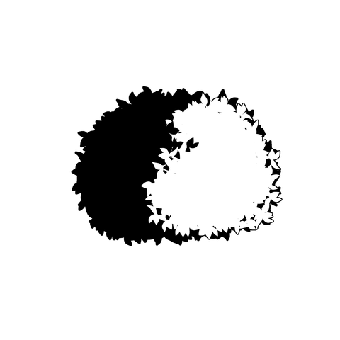 草の塊（葉が丸め）007