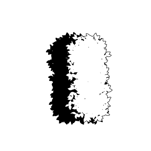 草の塊（葉が丸め）016