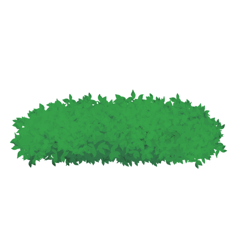 草の塊カラー(葉が丸め)013