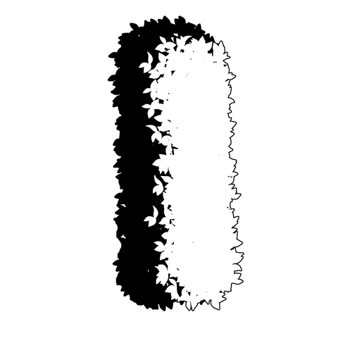 草の塊（葉が丸め）017