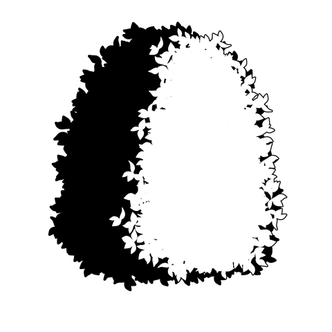 草の塊（葉が丸め）010