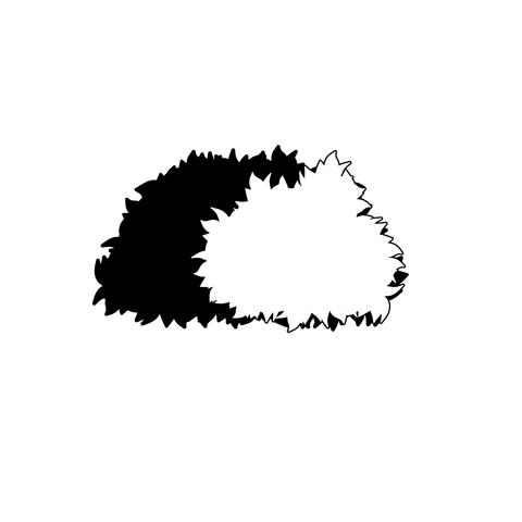 草の塊（葉がトゲトゲ）015