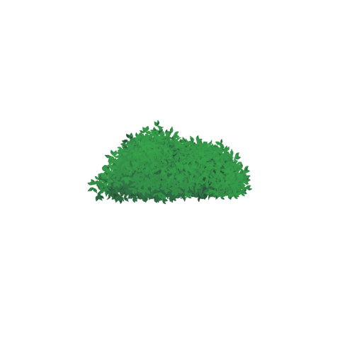 草の塊カラー(葉が丸め)036