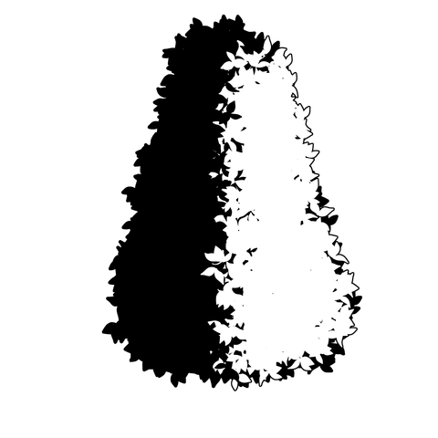 草の塊（葉が丸め）018