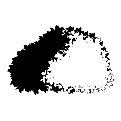 草の塊（葉が丸め）005