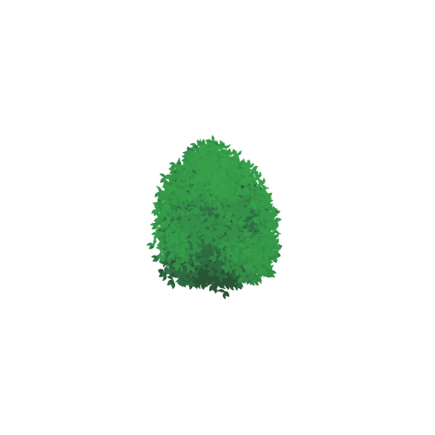 草の塊カラー(葉が丸め)024