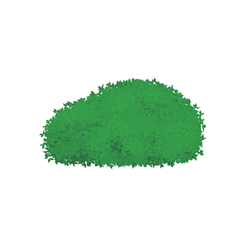 草の塊カラー(葉が丸め)022