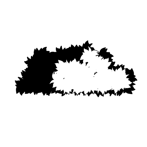 草の塊（葉がトゲトゲ）003
