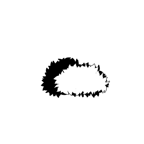 草の塊（葉がトゲトゲ）004