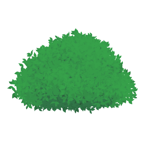 草の塊カラー(葉が丸め)004