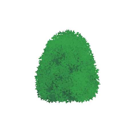 草の塊カラー(葉が丸め)025