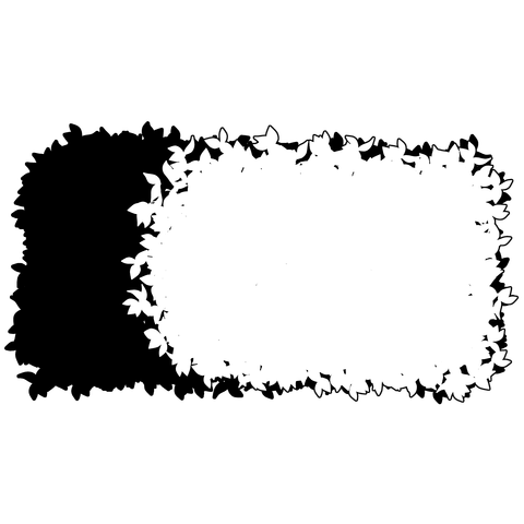 草の塊（葉が丸め）015