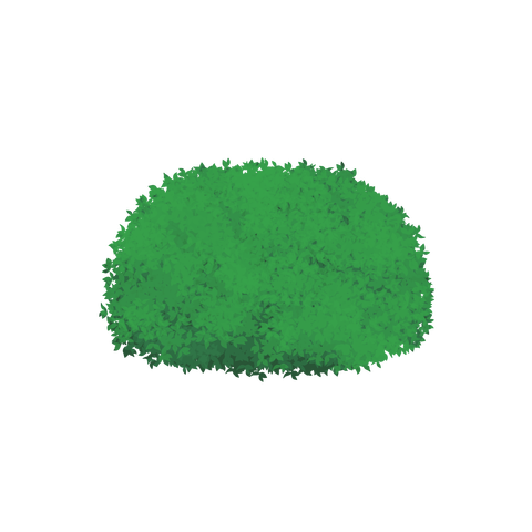 草の塊カラー(葉が丸め)021