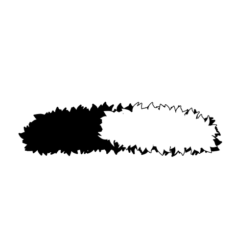 草の塊（葉がトゲトゲ）021
