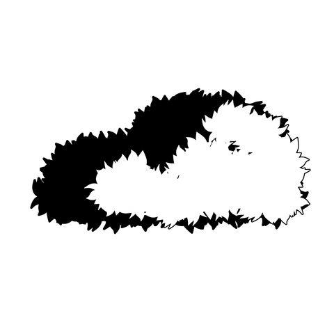 草の塊（葉がトゲトゲ）002