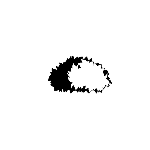 草の塊（葉がトゲトゲ）007