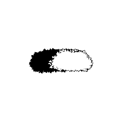 草の塊（葉が丸め）027