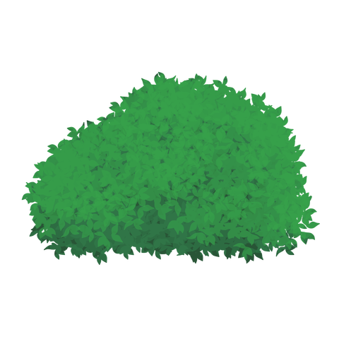 草の塊カラー(葉が丸め)005