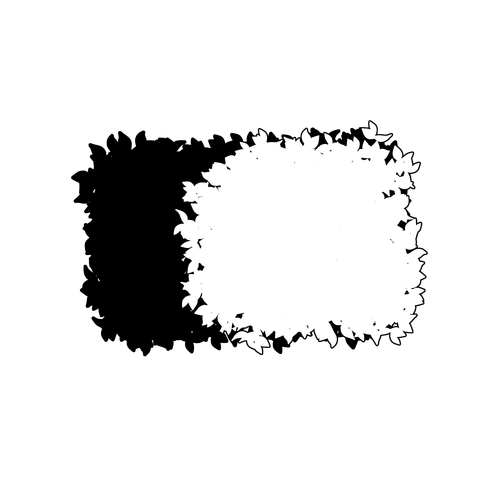 草の塊（葉が丸め）014