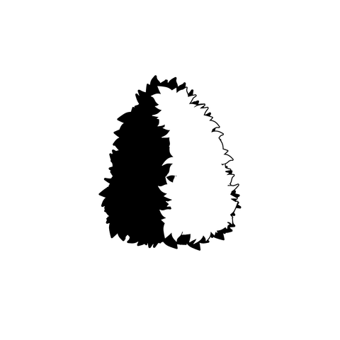 草の塊（葉がトゲトゲ）028
