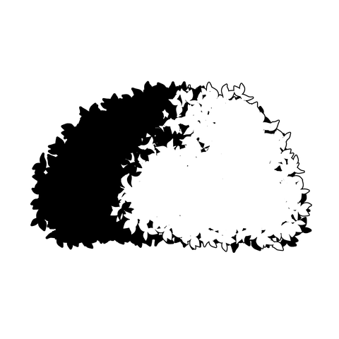 草の塊（葉が丸め）003